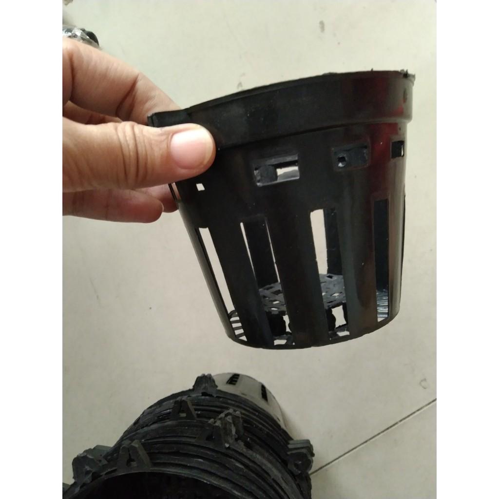 Compo 5 chậu nhựa trồng lan