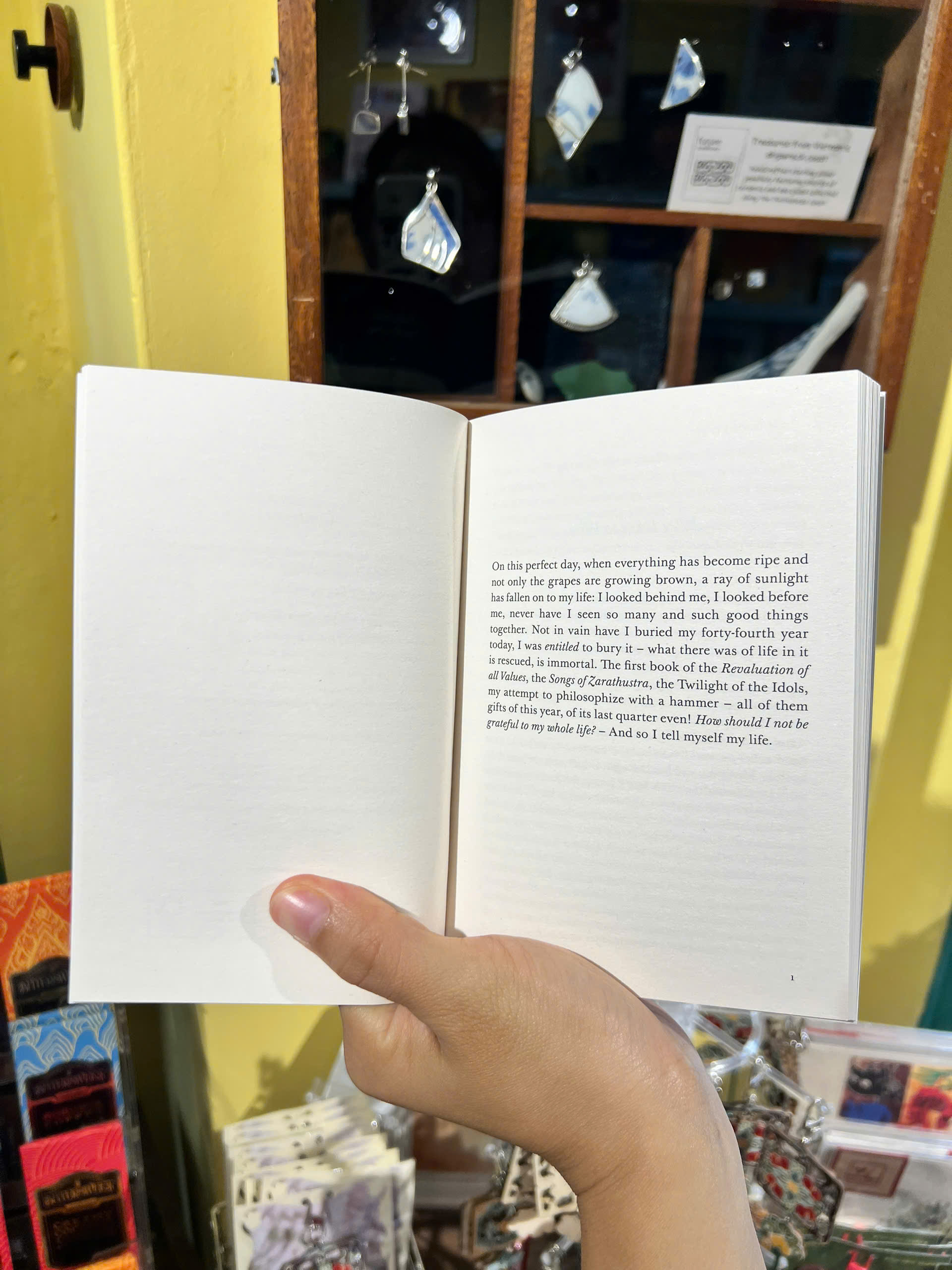 Sách - Why I Am So Clever by Friedrich Nietzsche | Philosophy / Triết học Khổ nhỏ / Nhập khẩu UK