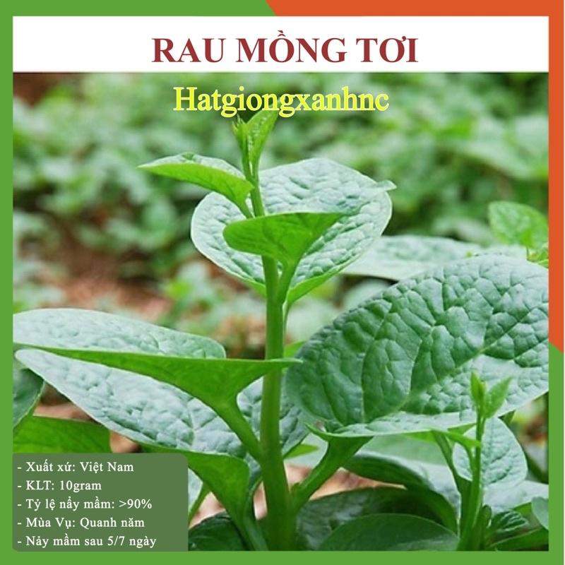 Hạt giống rau củ quả