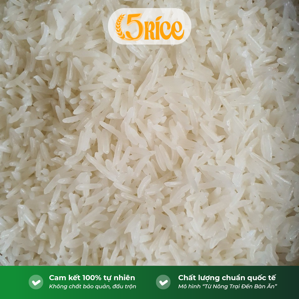 Gạo Lúa Tôm ST25 5RICE - Túi 6kg - Gạo thượng hạng thơm dẻo, đậm vị 5RICE