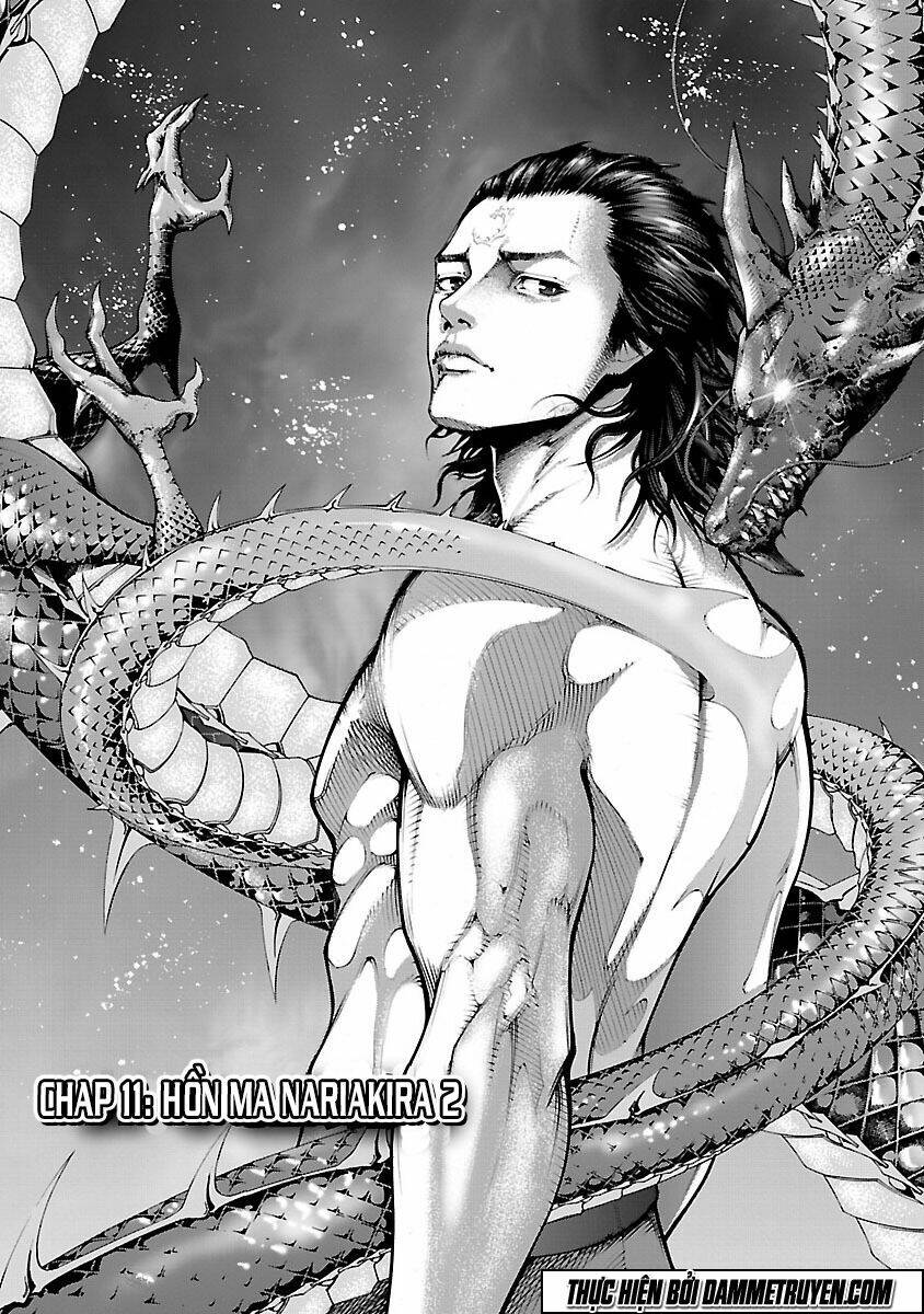 dragon effect chapter 11 1