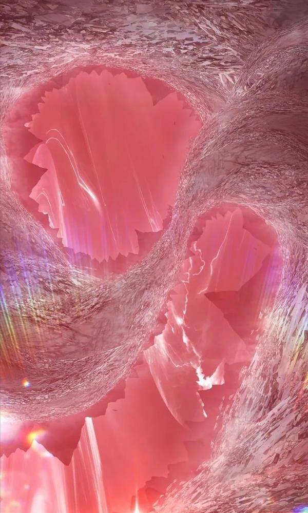 Gậy Gỗ Cấp 99+ chapter 80.5 188