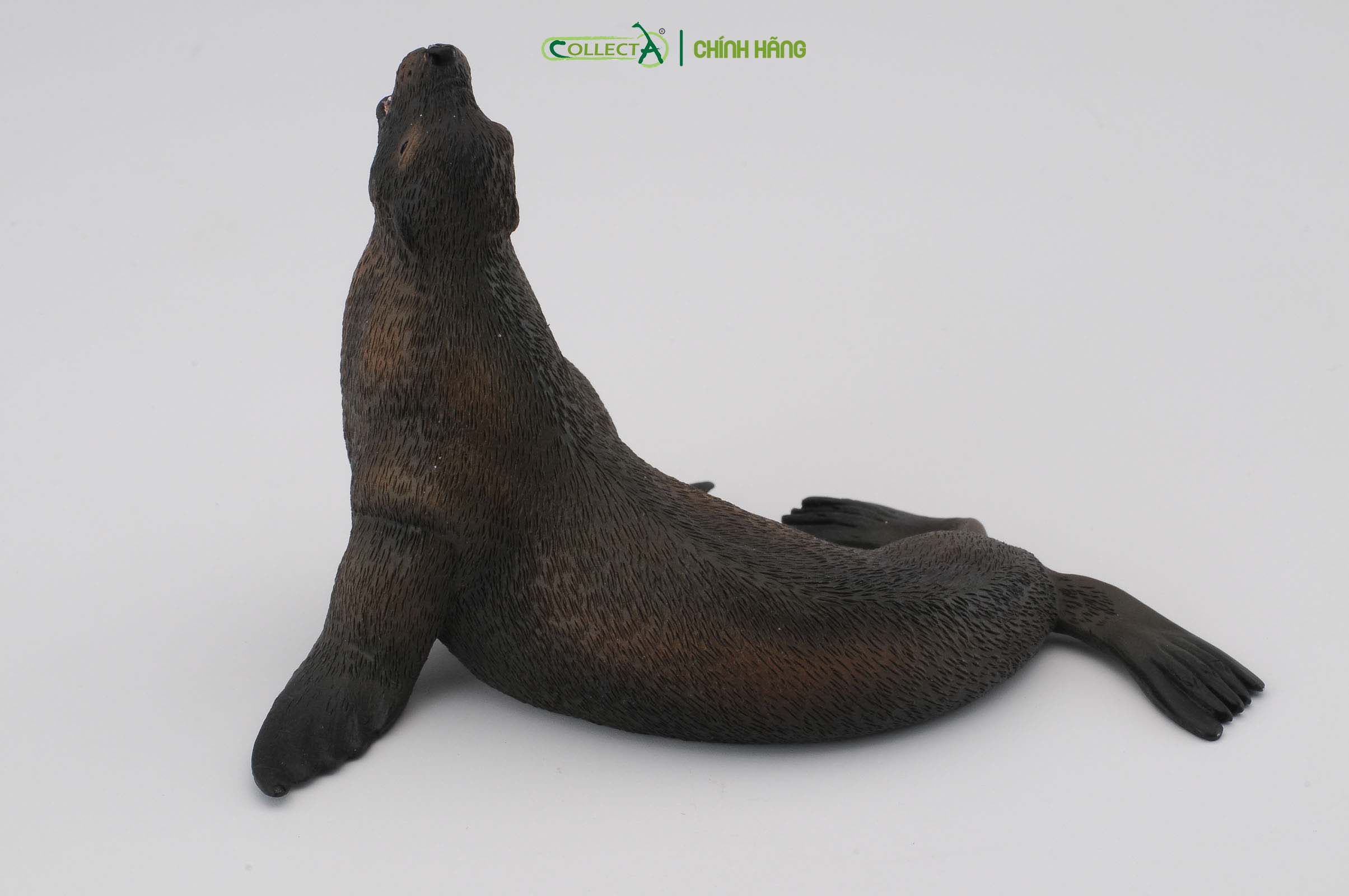 Mô hình thu nhỏ: Sư Tử Biển - Sea Lion, hiệu: CollectA, mã HS 9652070[88454] -  Chất liệu an toàn cho trẻ - Hàng chính hãng