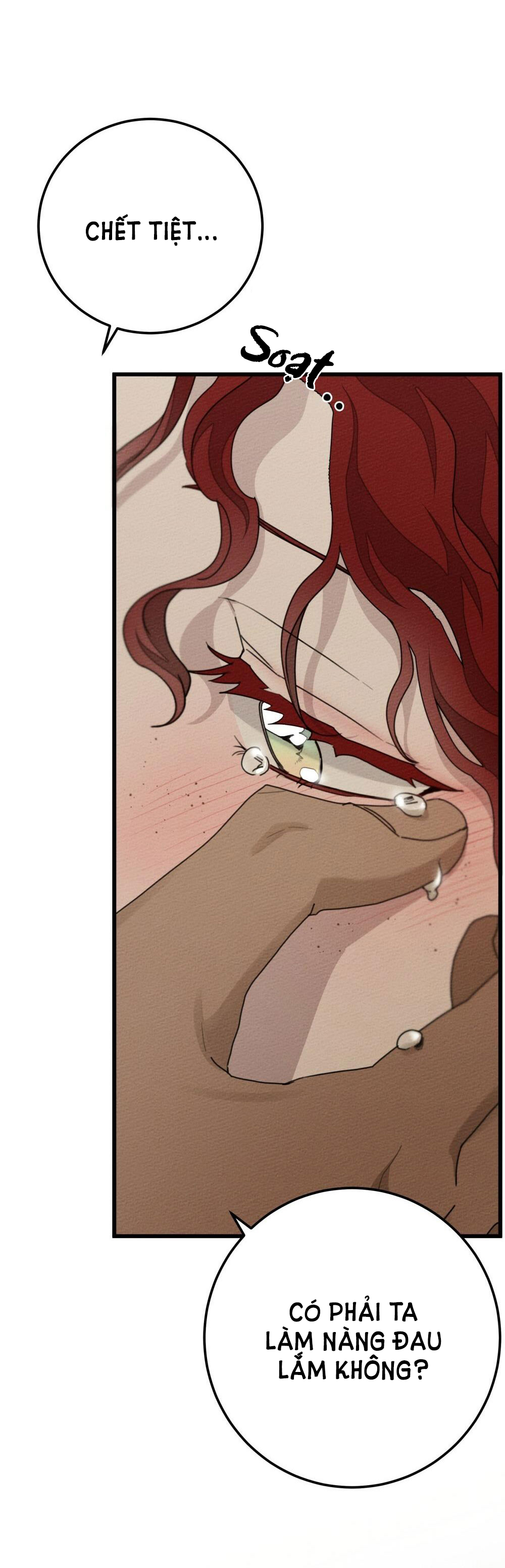 Dưới Bóng Cây Sồi chapter 45.1 20