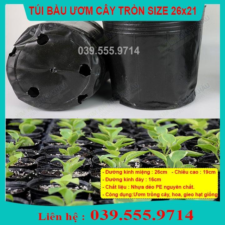 1KG TÚI BẦU NHỰA MỀM ƯƠM CÂY SZE 26X21 - DẺO DAI