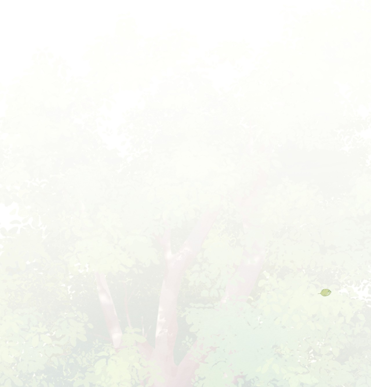 ân sủng của sói chapter 2 19