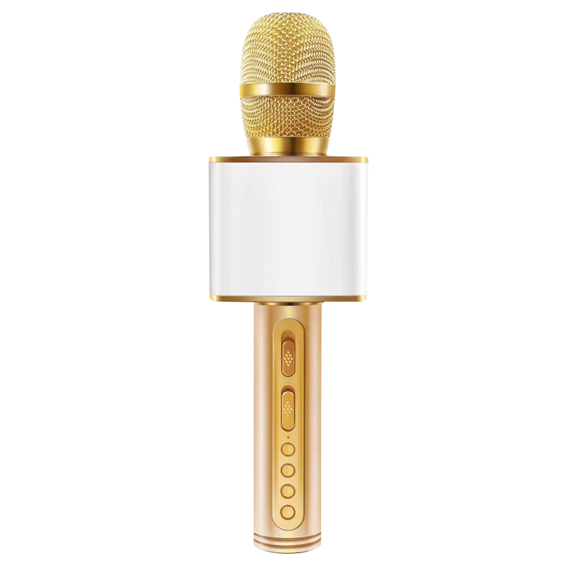 Micro Karaoke Bluetooth Kèm Loa cao cấp kết nối Bluetooth, thẻ nhớ, USB pin sạc - Hàng chính hãng