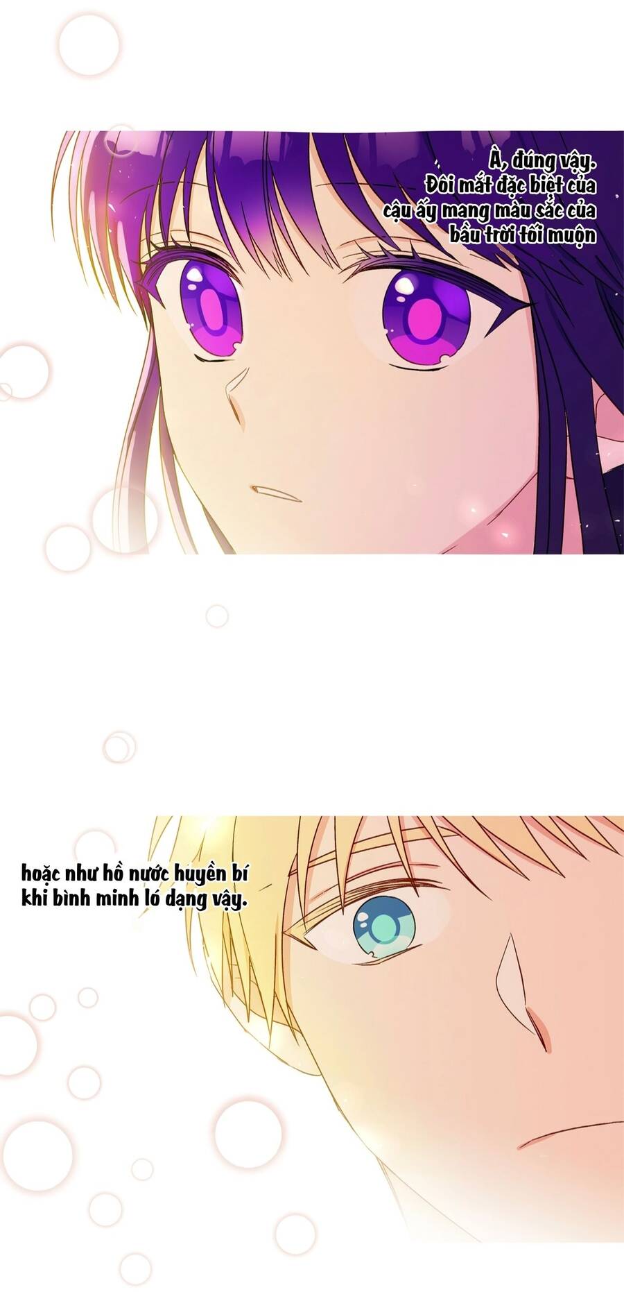 nhật ký quan sát elena evoy chapter 12 16