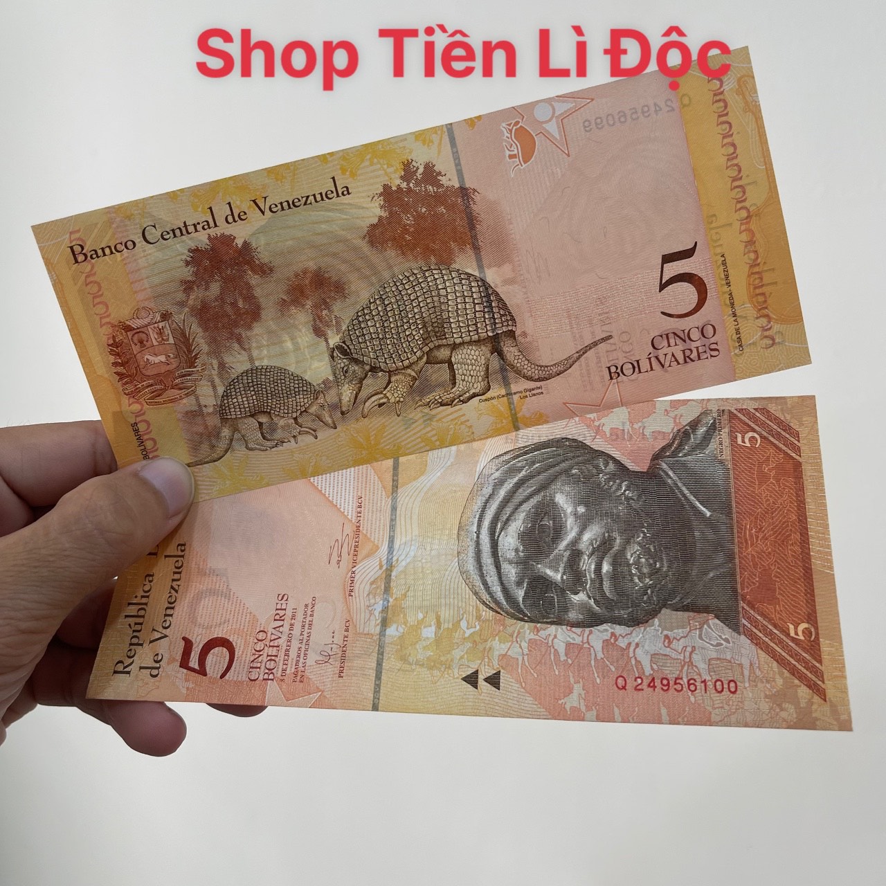 Tờ Tiền Venezuela 5 Bolivares Mới 100% , Thích Hợp Sưu Tầm, Lì Xì, Biếu Tặng