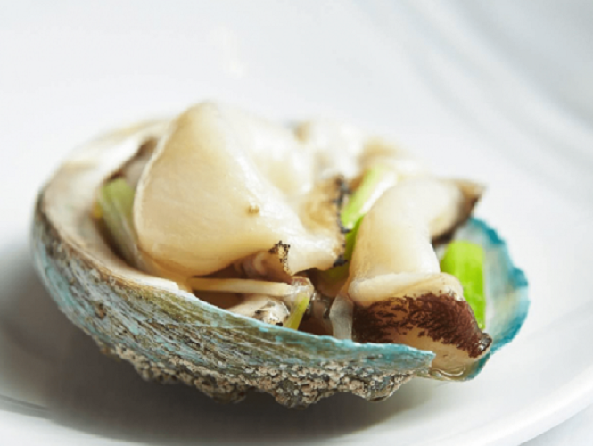 HCM - Bào ngư cao cấp Úc- Jade Tiger Abalone 500g