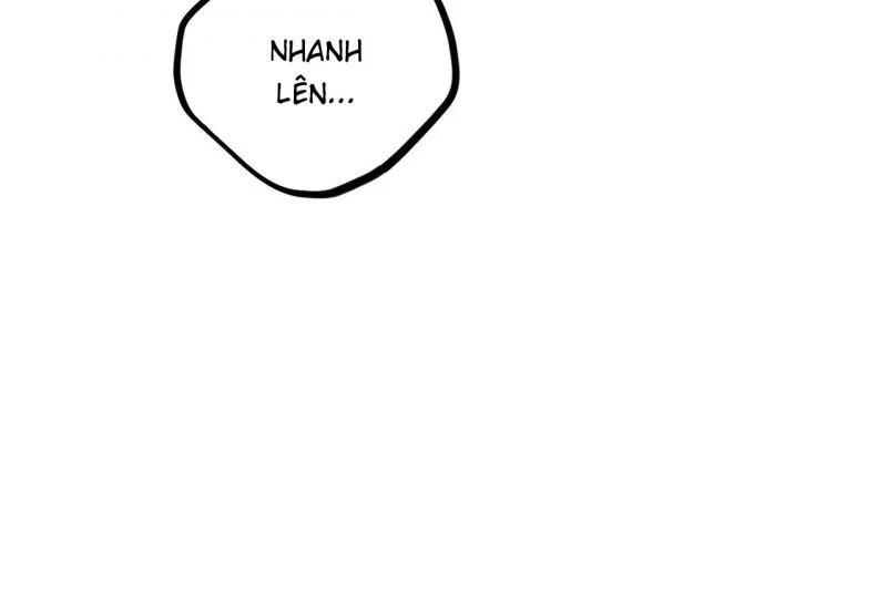 những chú thỏ của hapypy chapter 64 31