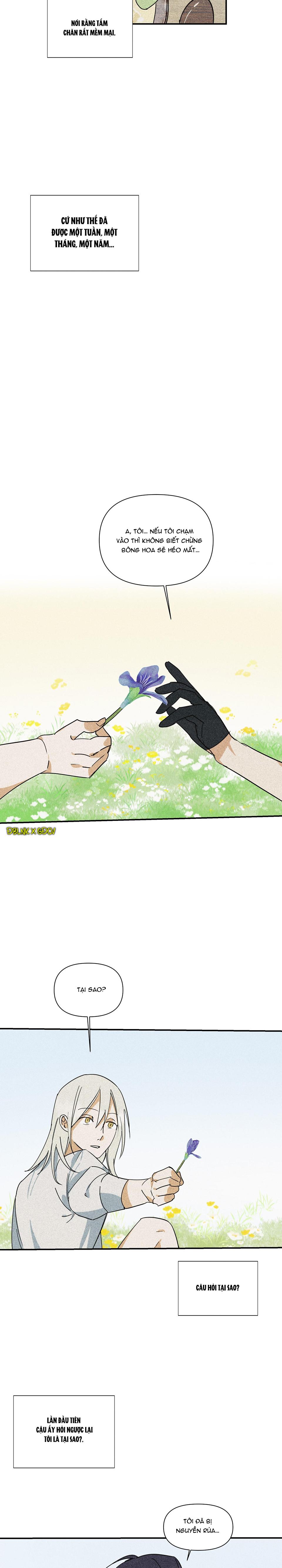 bl cổ trang - âu cổ ngắn nhà kim chapter 18.1 23