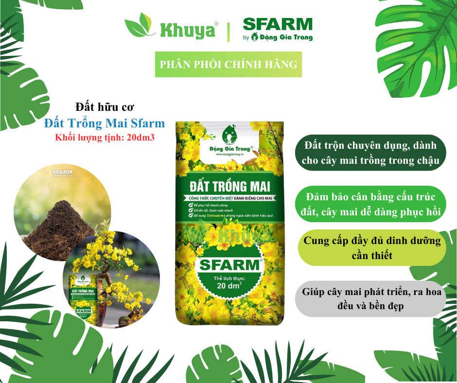 Đất trồng mai Sfarm 20md3