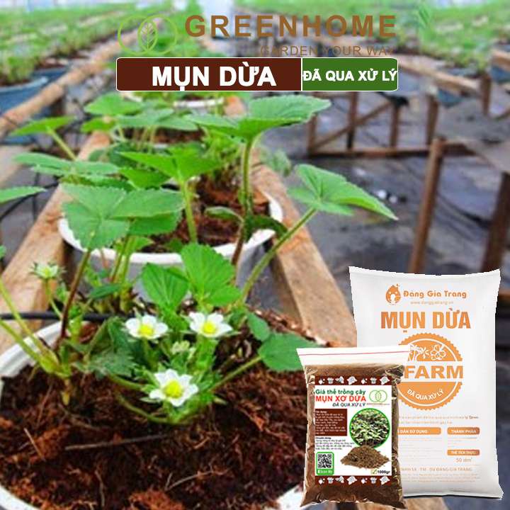 Mụn dừa đã qua xử lý, bao 1kg, chuyên trồng rau, hoa màu, dâu tây, cây ăn trái, thủy canh |Greenhome