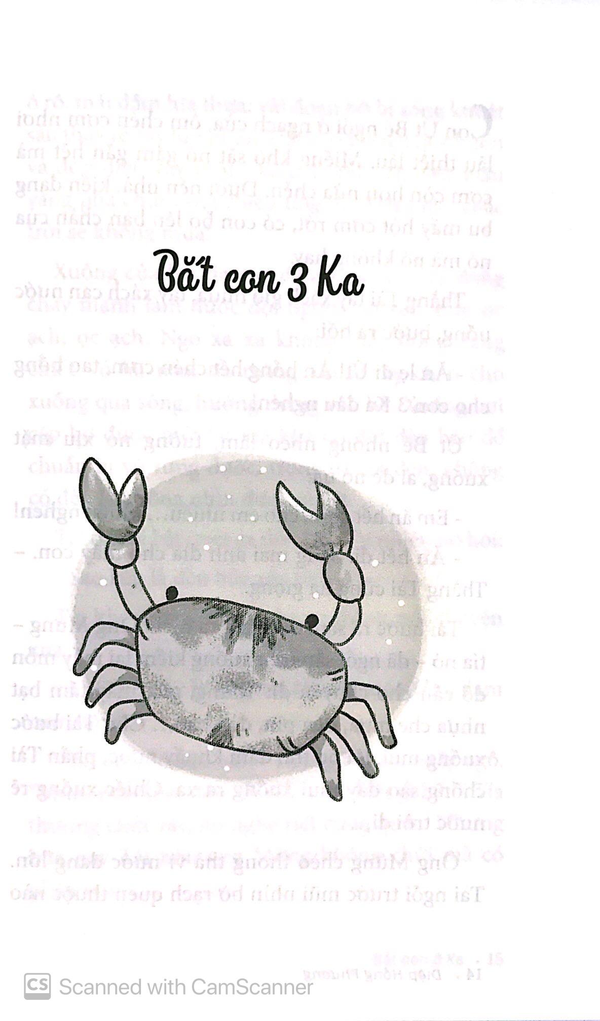 Đèn Gió Bay Lên