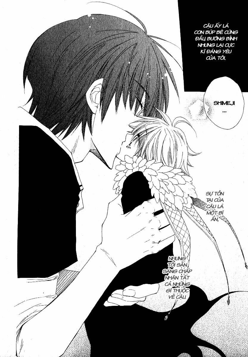 lover's doll chapter 3 33