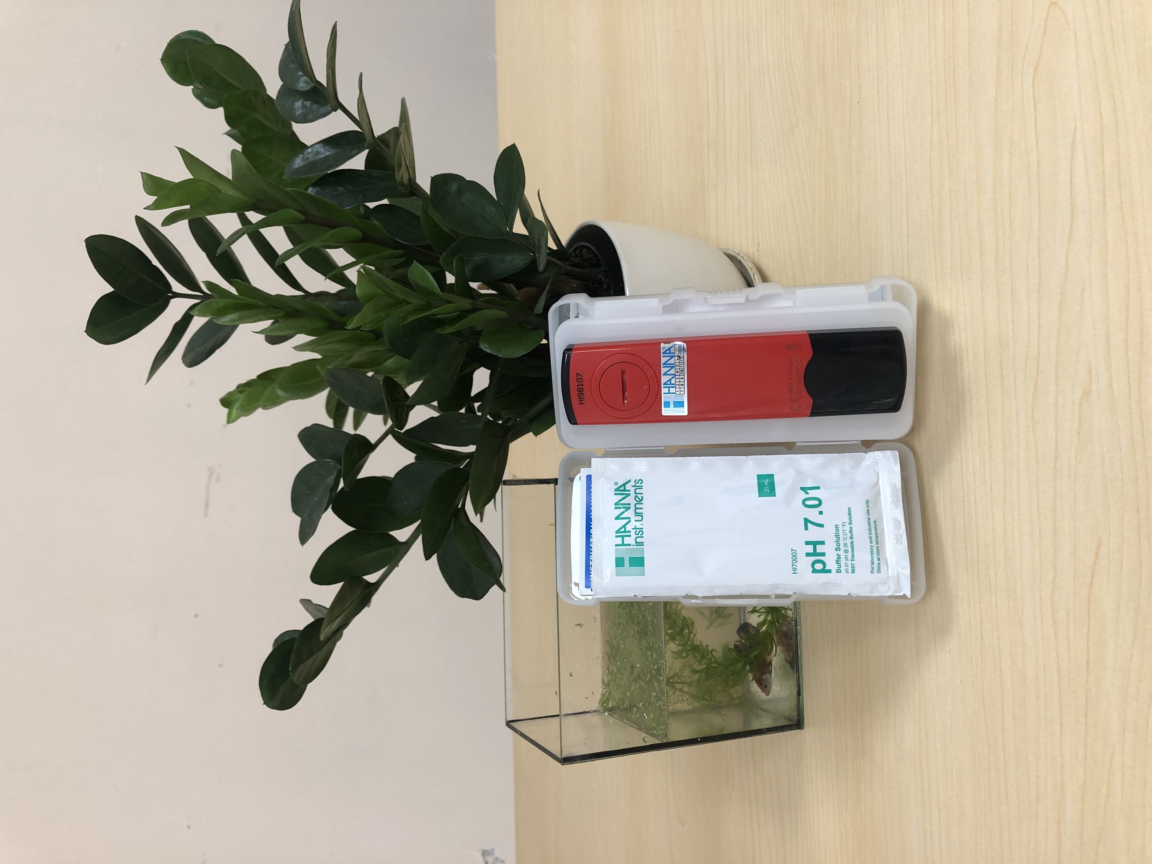 Bút đo pH/Nhiệt độ với độ phân giải 0.1pH HANNA HI98107 - Hàng chính hãng