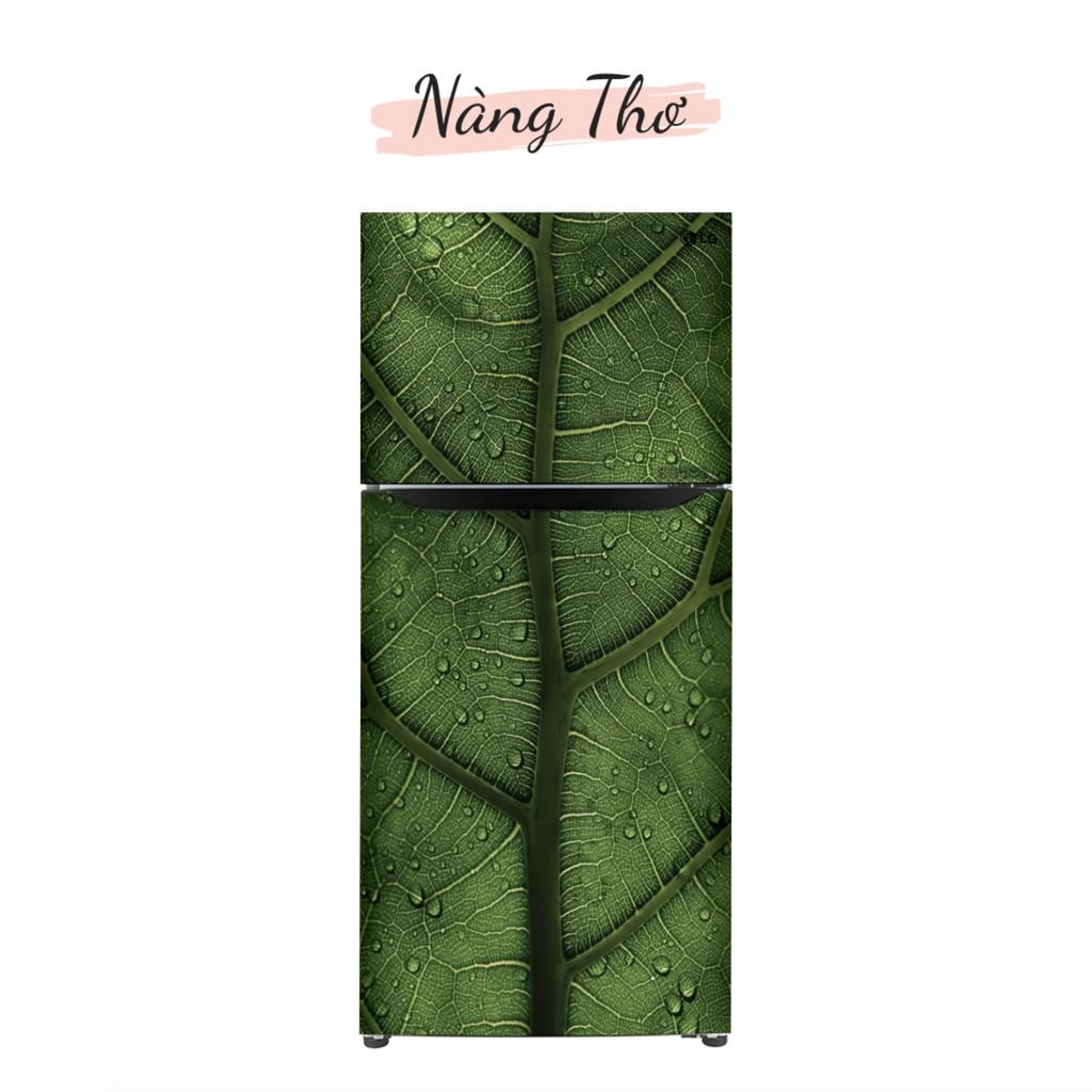 HÌNH LÁ 3D DÁN TỦ LẠNH NHIỀU KÍCH THƯỚC_DECAL VIP