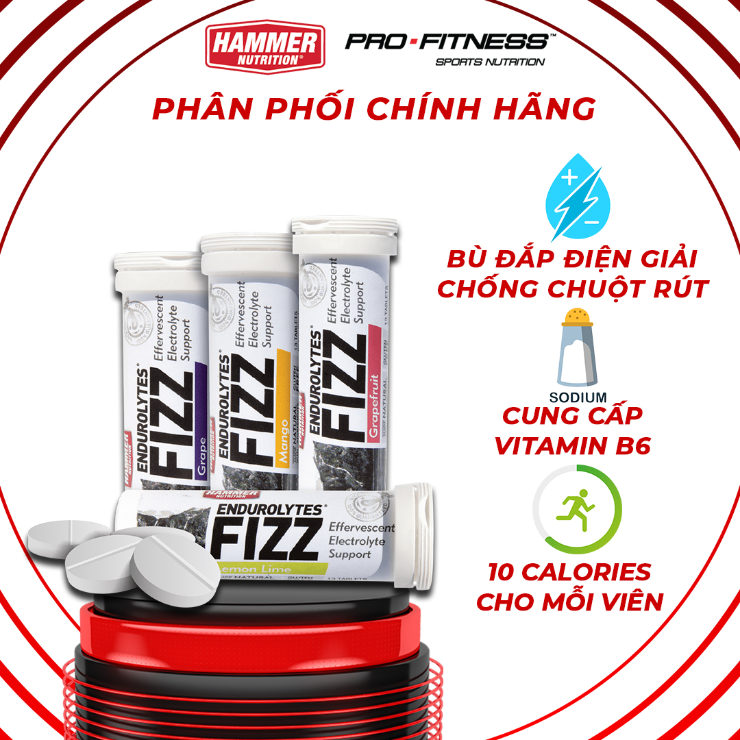 Viên sủi điện giải chống chuột rút Endurolytes Fizz Hammer Nutrition - Cung cấp bù khoáng cân bằng toàn diện (13 viên