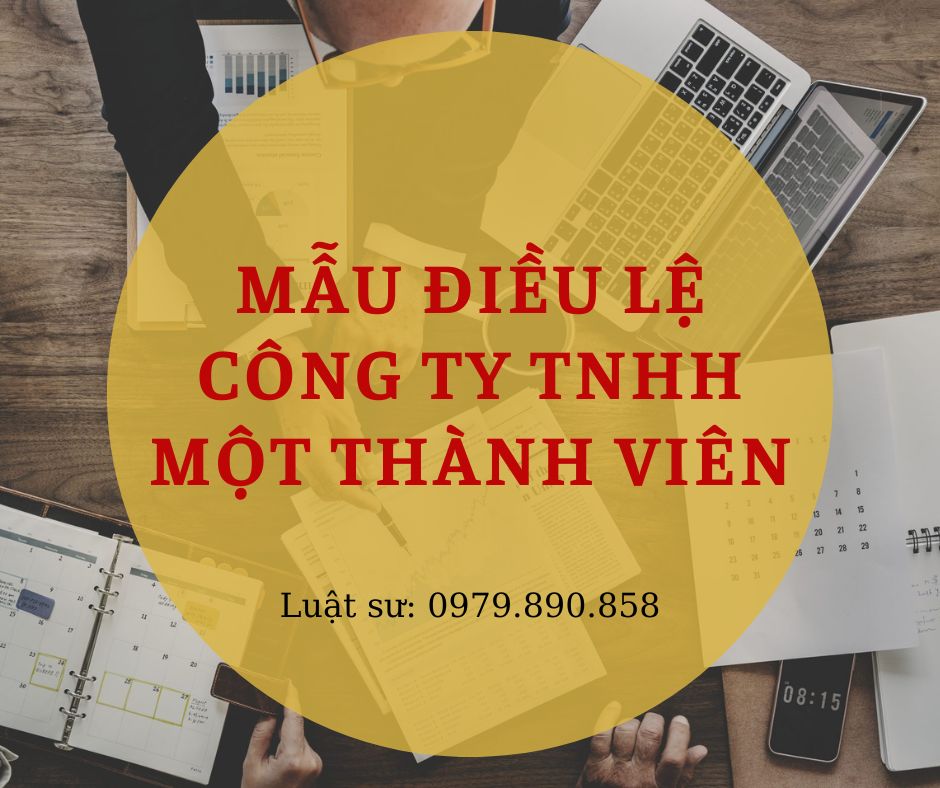 Mẫu điều lệ công ty TNHH một thành viên + bản hướng dẫn chi tiết của Luật sư