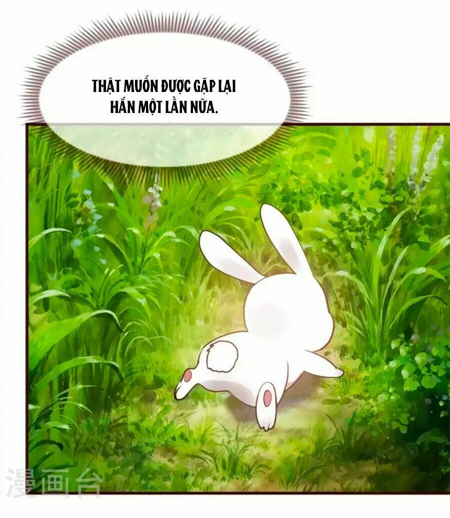 thỏ yêu tiểu vương phi chapter 1 14