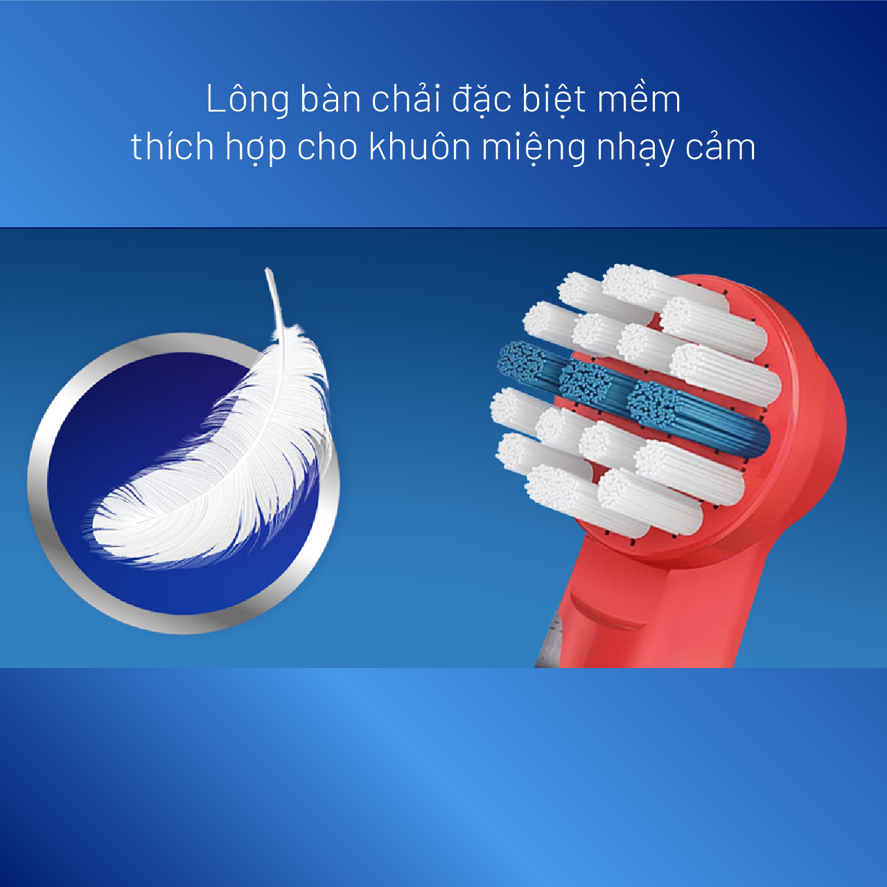 Đầu bàn chải Oral-B Pro D100 Frozen-Hàng chính hãng