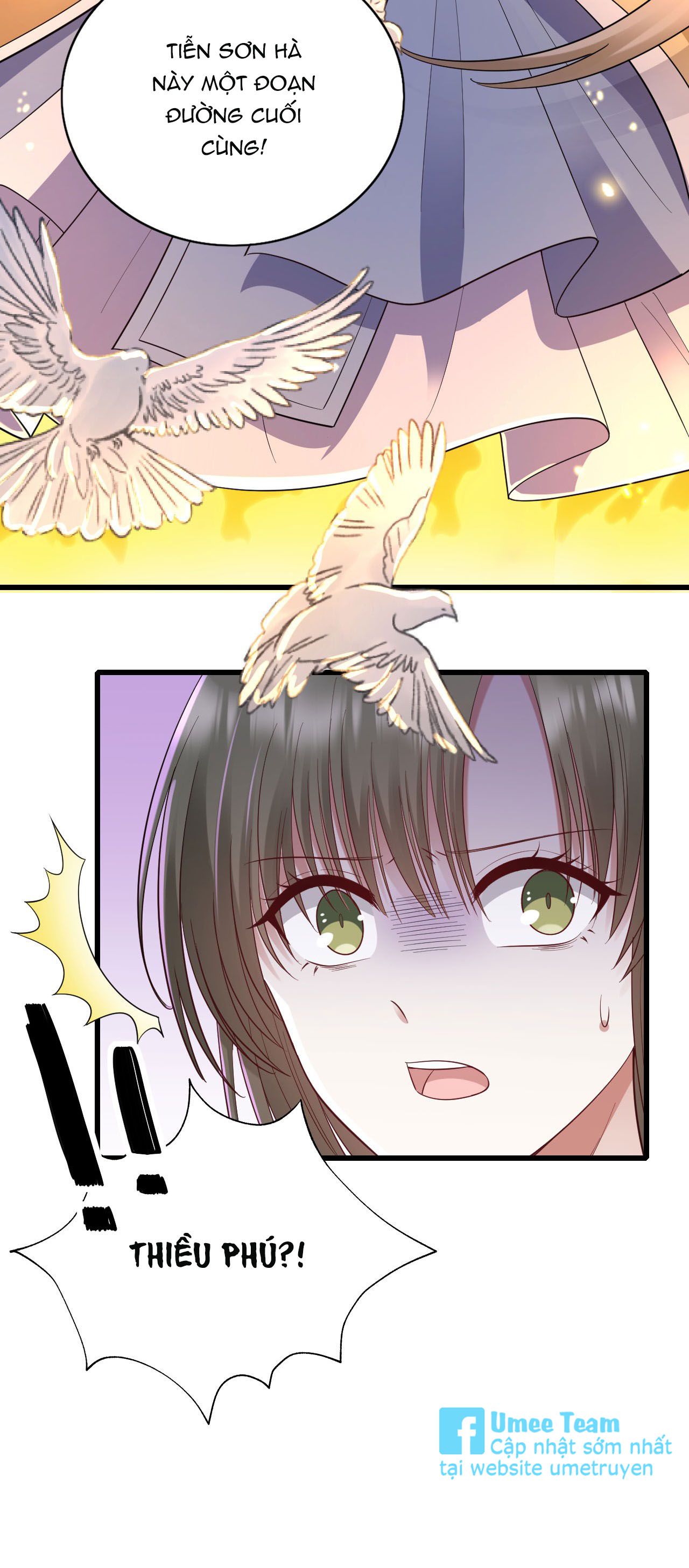 tức thời phạm quy [ tức thì vi quy ] chapter 47 16