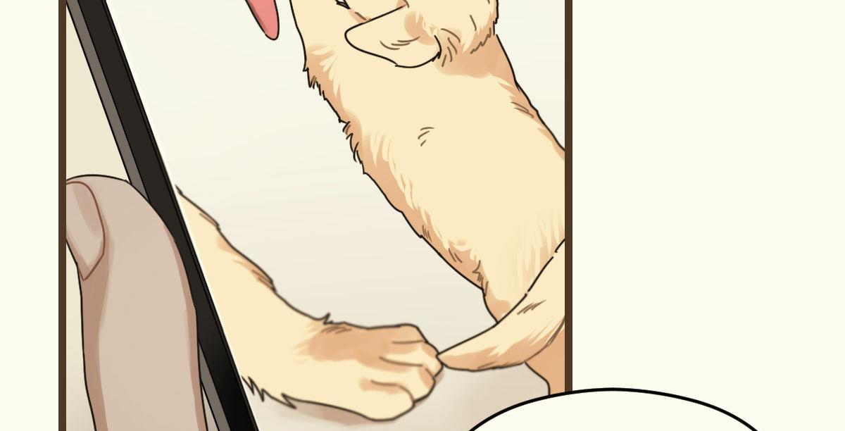 tương phùng chapter 15 314