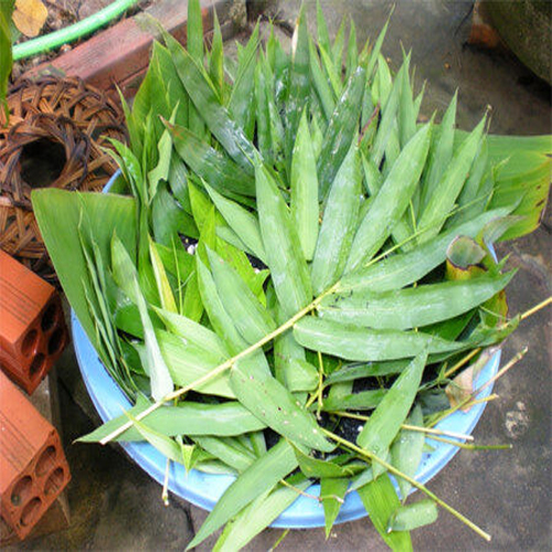Lá tre phơi khô sạch, thơm 1kg