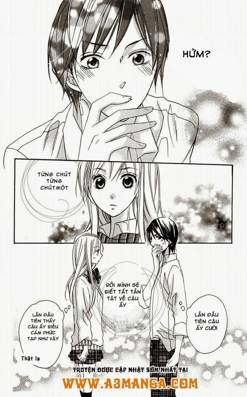 hoa hồng hoang dã chapter 4 38