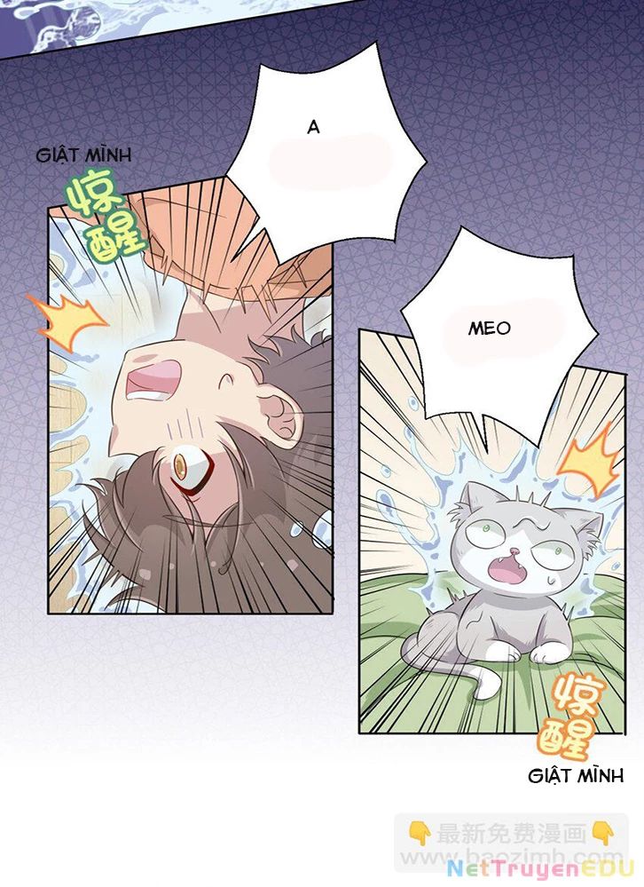 ông trời đã ban cho tôi siêu năng lực kỳ lạ gì thế này? chapter 46 36