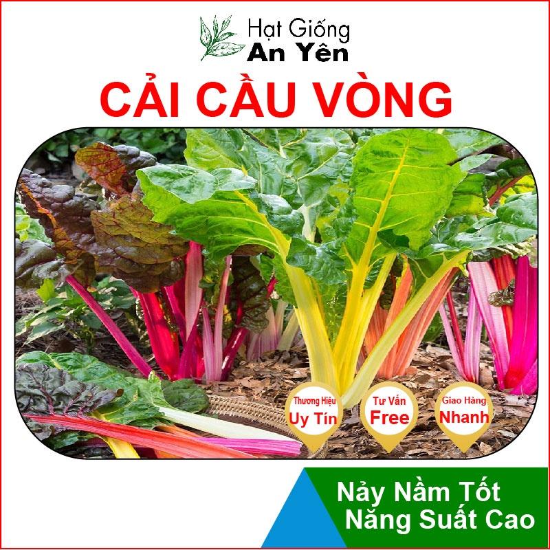 Hạt giống Cải Cầu Vòng, nhanh thu hoạch, dễ trồng, nảy mầm và năng suất cao