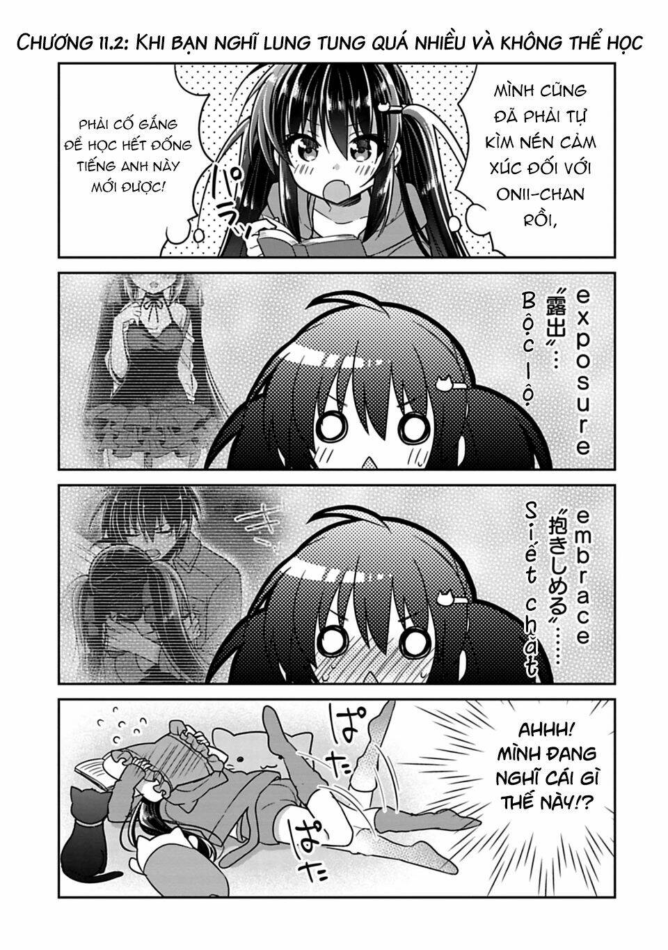 siscon ani to brocon imouto ga shoujiki ni nattara chapter 11.5 1