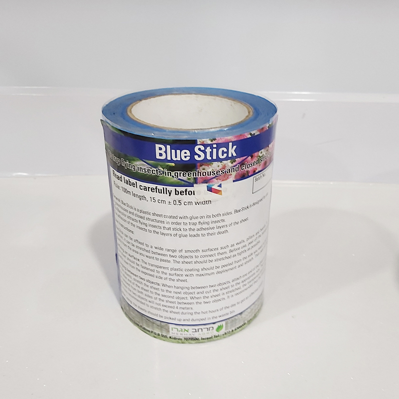 Keo dính Màu Xanh nhập khẩu Israel Blue Trap dùng Diệt Bọ Trĩ gây hại nông nghiệp và hiệu lực keo trên 8 tháng chịu mưa nắng và nước tưới