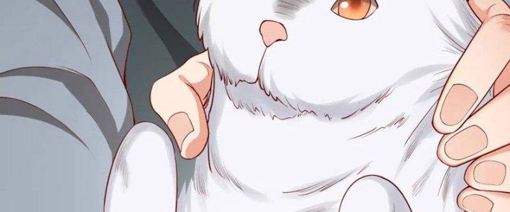 đại tần, ta là con tần thủy hoàng, giết địch thành thần chapter 11 260