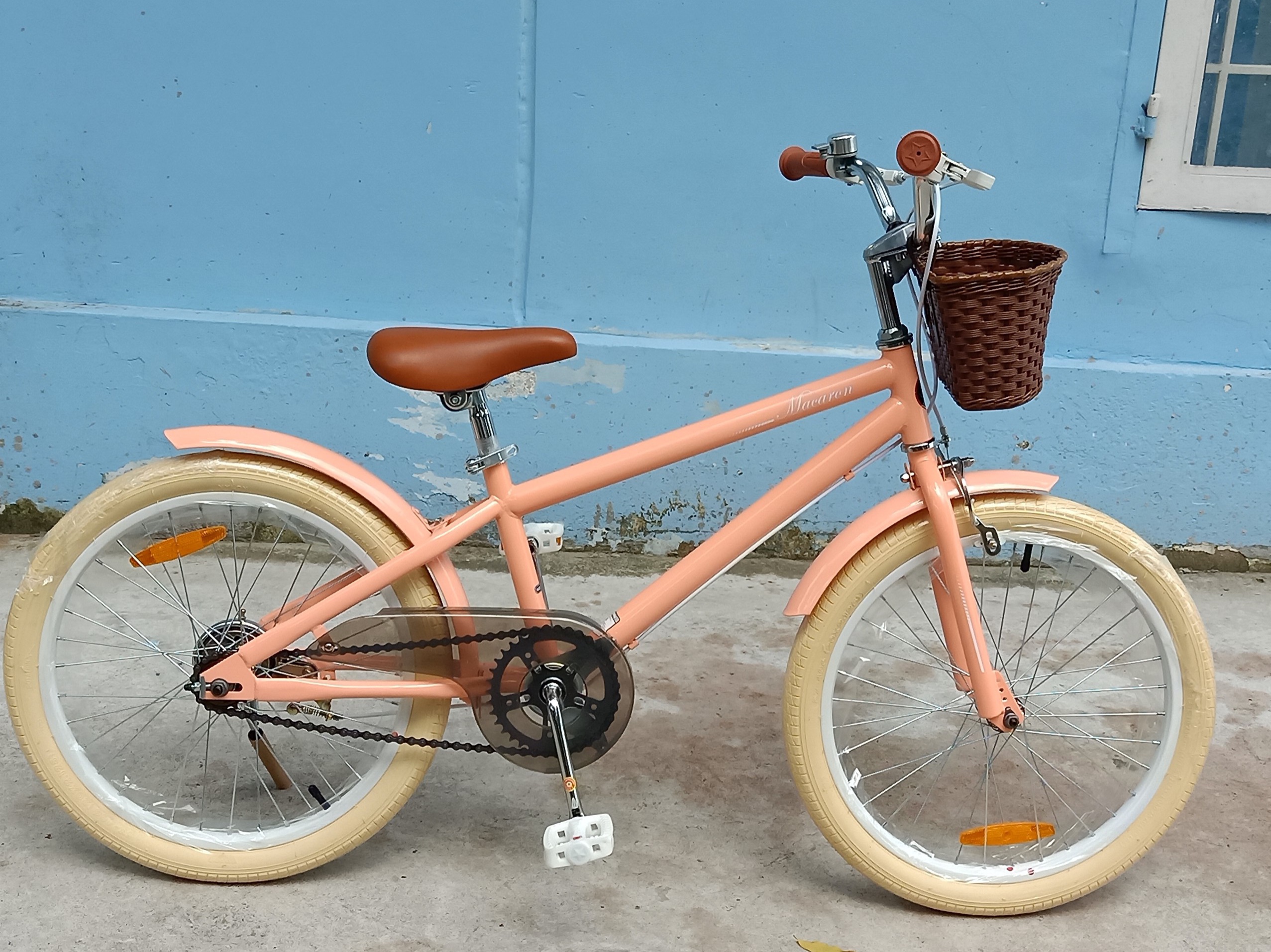 Xe đạp RoyalBaby Macaron Vintage 20 inch - CAM