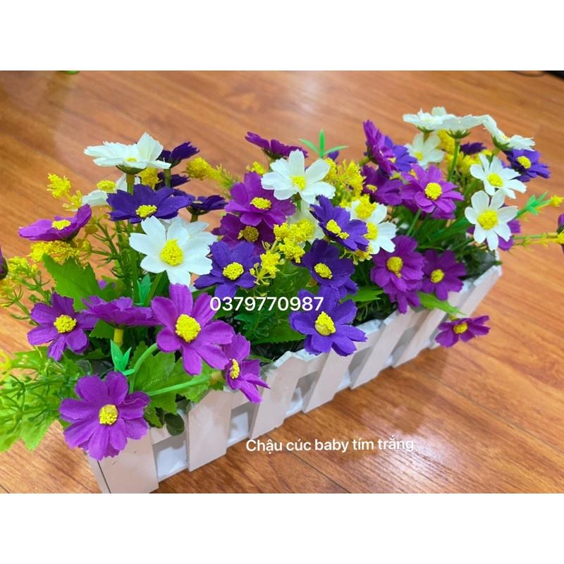 Chậu hàng rào gỗ cắm sẵn hoa decor
