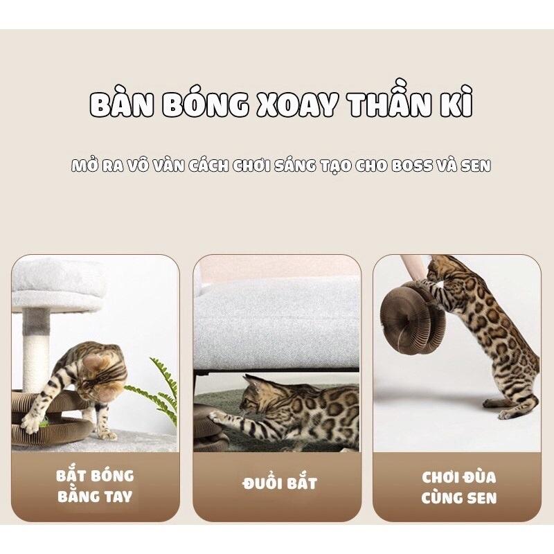 Bàn Cào Móng Ma Thuật Đồ chơi cho mèo giảm stress có bóng chuông và catnip kèm