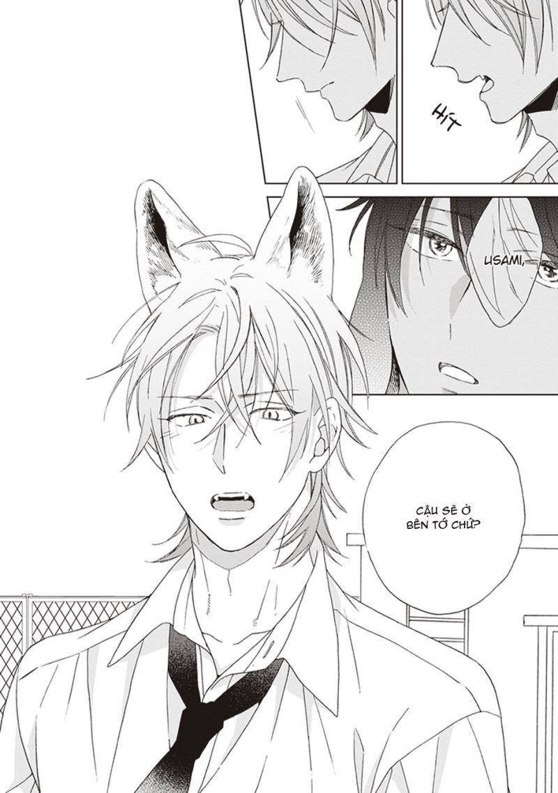 ookami-kun không đáng sợ chút nào c chapter 5 20