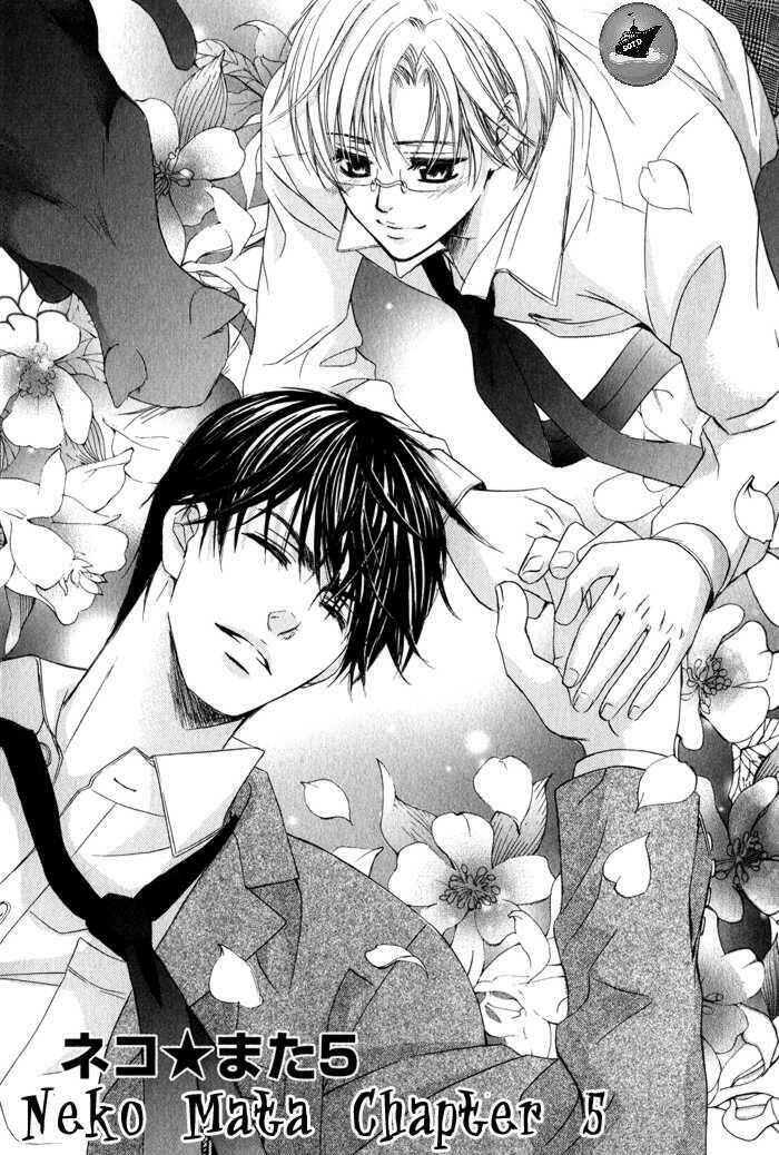 neko mata chapter 5 2