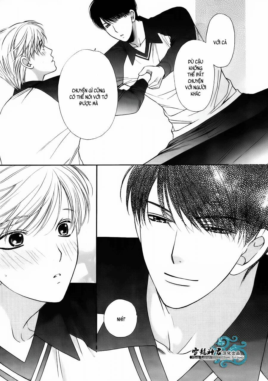 neko neko honey chapter 8 10