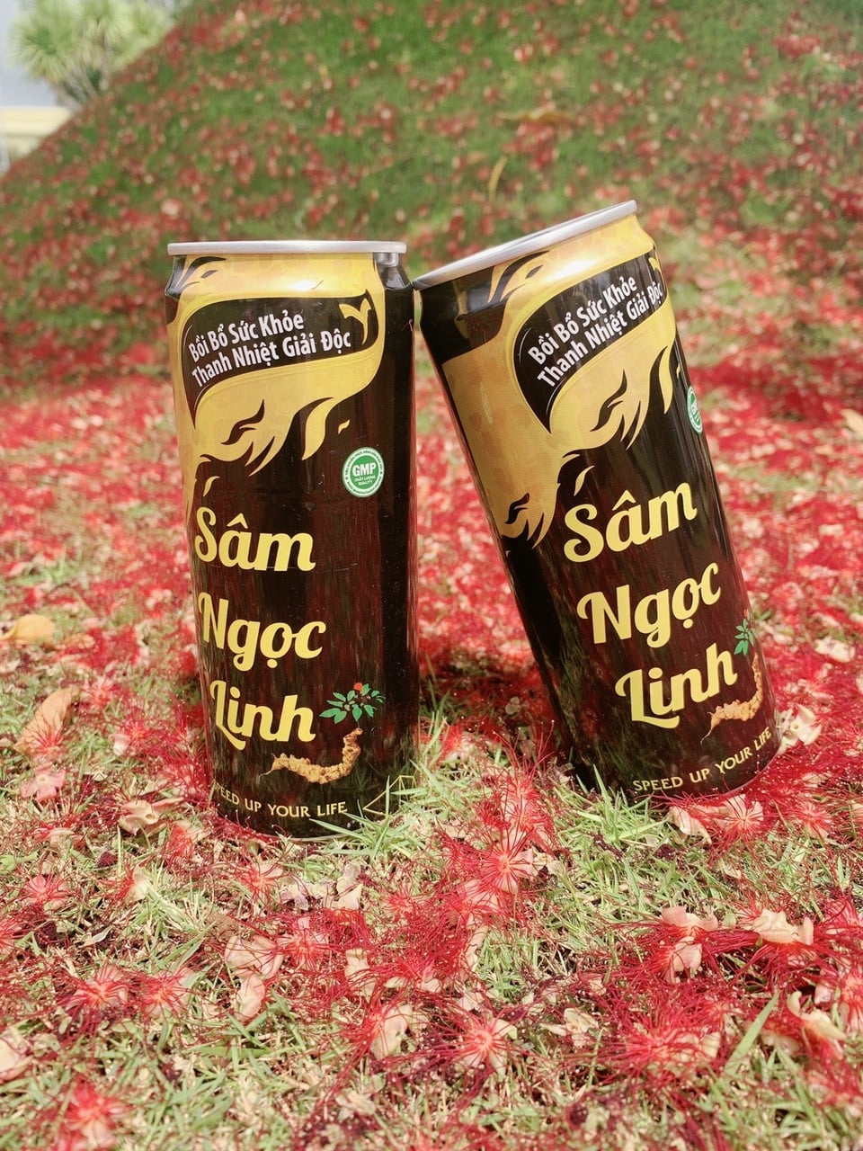 Nước Sâm Ngọc Linh - Nước uống từ thảo dược - Bồi bổ sức khỏe, chống lão hóa