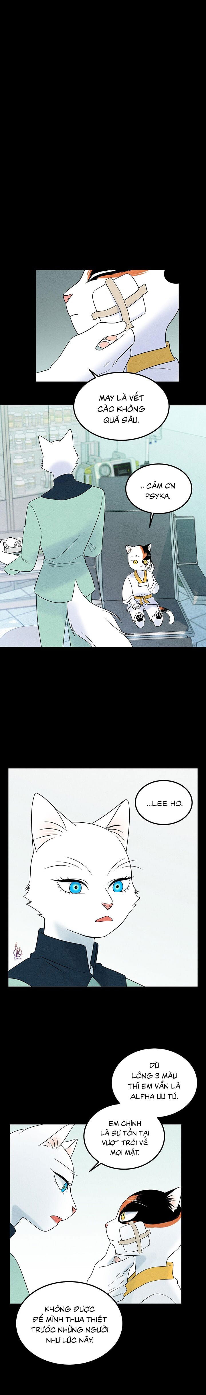 dự án xanh chapter 37 12