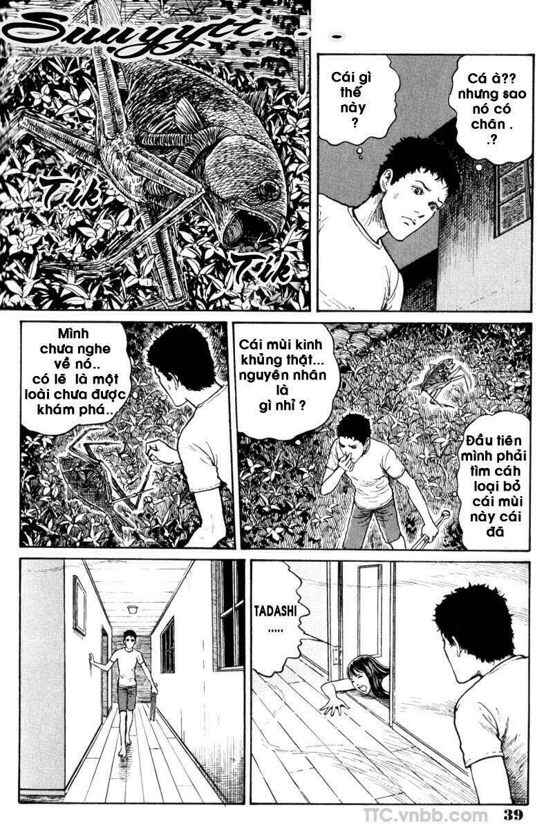 quái vật biển chapter 2 3