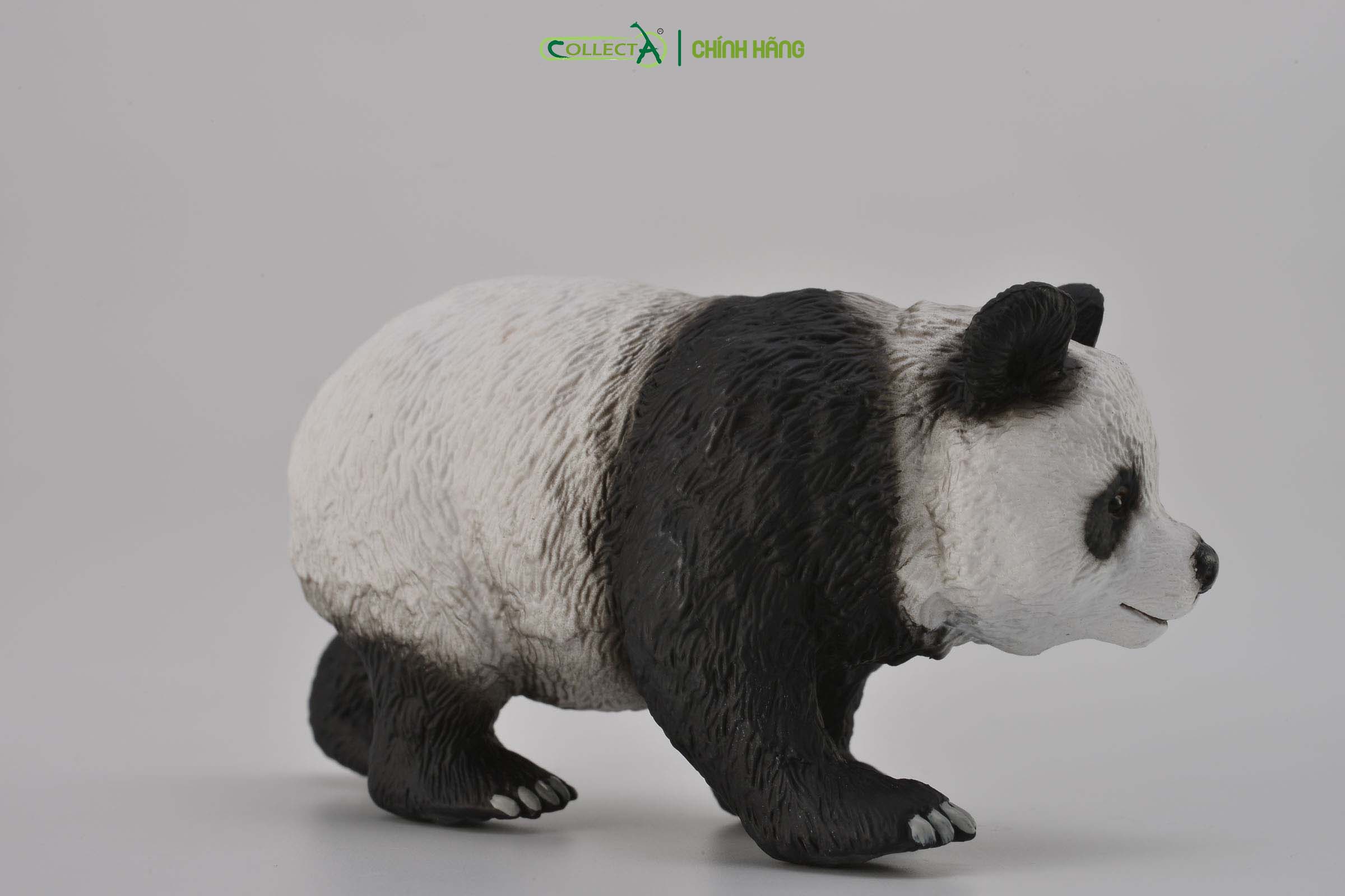 Mô hình thu nhỏ: Gấu Trúc - Giant Panda, hiệu: CollectA, mã HS 9651220[88166] -  Chất liệu an toàn cho trẻ - Hàng chính hãng