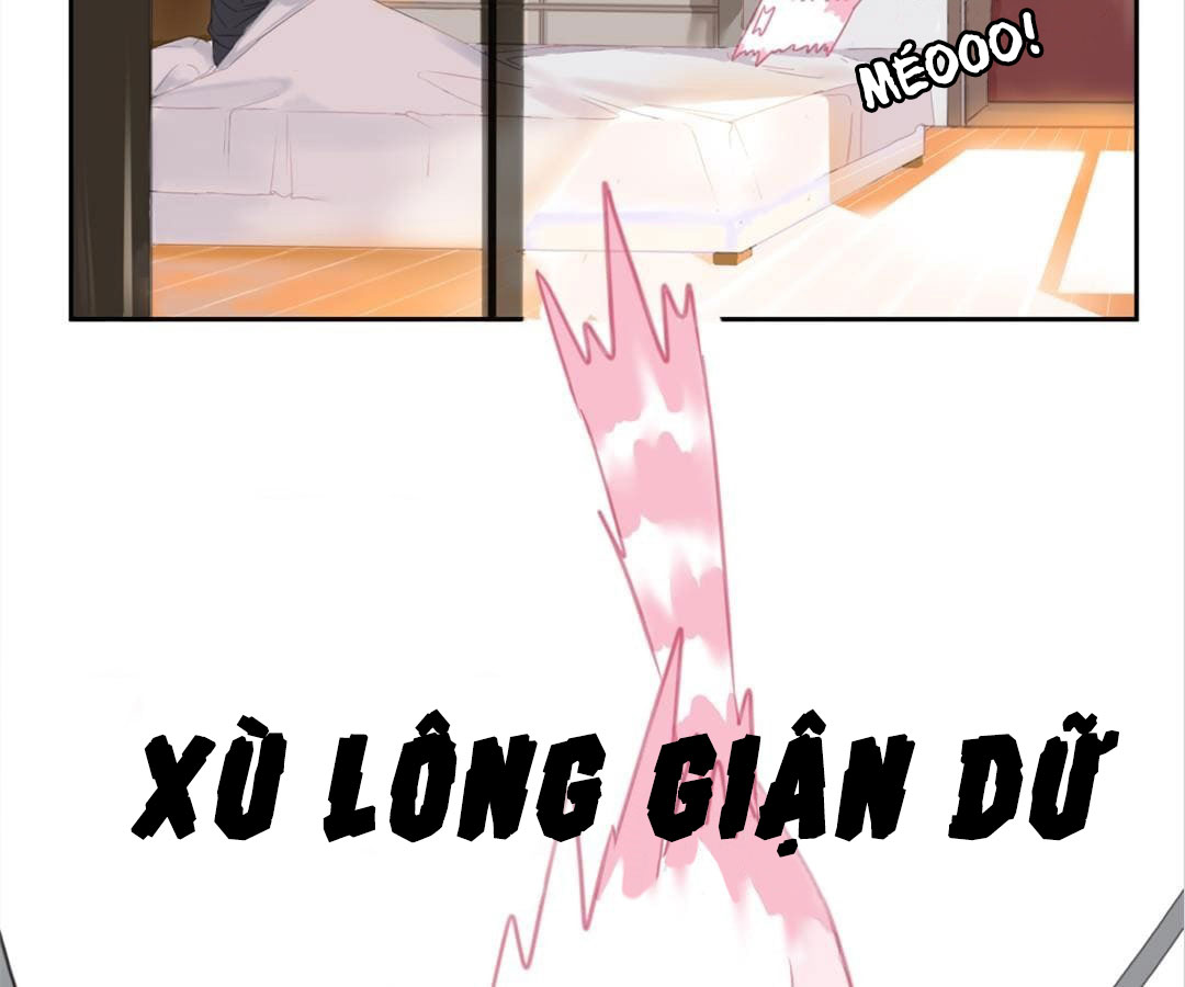 social cat chapter 1 82