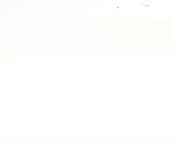 chiếm hữu trái tim bạo chúa chapter 10.2 66