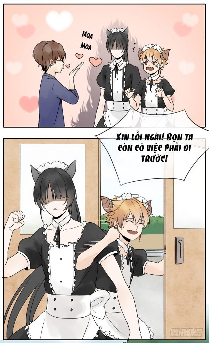 đầu trâu không phải miệng ngựa chapter 7 11