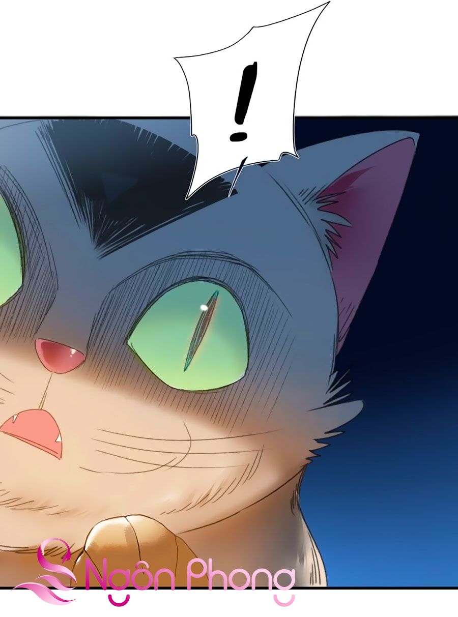Lệnh Cấm Nghị Tộc 2 Ẩn Diện Trấn chapter 68 - Trang 6