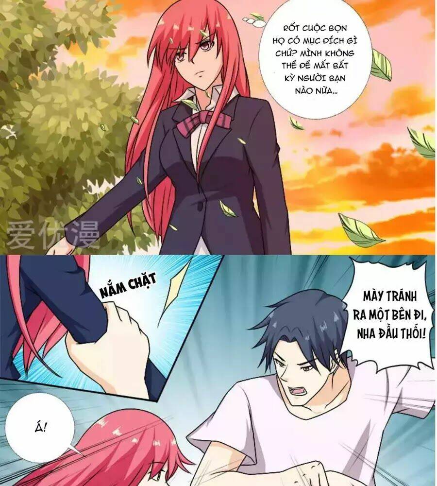 bạn trai hắc đạo của tôi chapter 279 6
